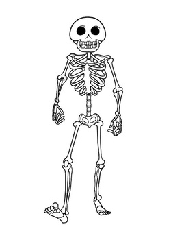 Skeletons Coloring pages 🖌 to print and color